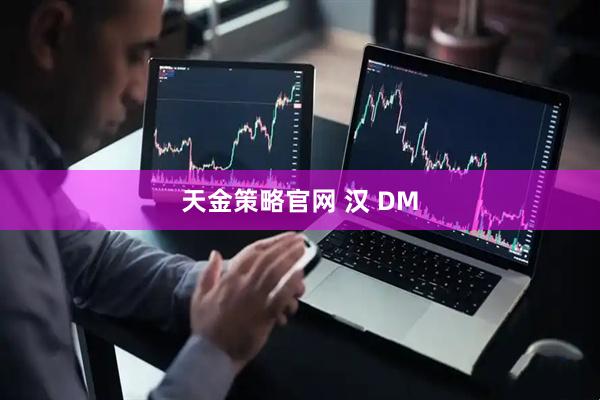 天金策略官网 汉 DM