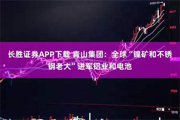 长胜证券APP下载 青山集团：全球“镍矿和不锈钢老大”进军铝业和电池